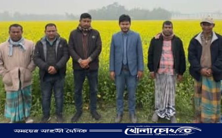 সরিষা ফুলের হলুদ রাজ্যে মৌমাছির গুঞ্জন