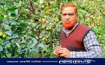 বিজয়নগরে  বড়ই চাষ করে ভাগ্য বদল করেছেন একজন স্কুল শিক্ষক