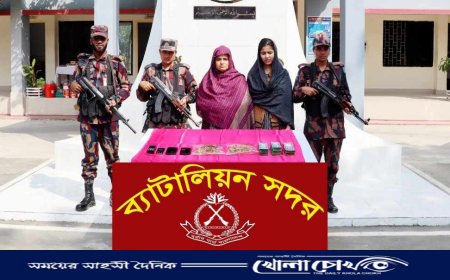 টেকনাফে বিজিবির পৃথক অভিযানে বিপুল পরিমান ইয়াবা, স্বর্ণ ও অস্ত্র জব্দ, রোহিঙ্গা নারী-পুরুষসহ আটক:৭