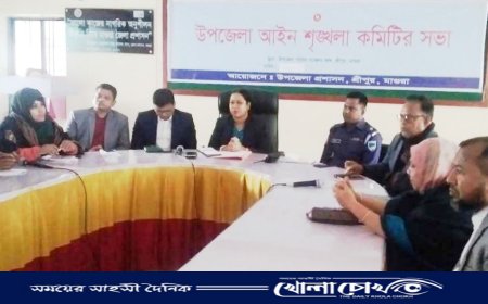 মাগুরায় শ্রীপুর উপজেলা আইন-শৃঙ্খলা কমিটির সভা সম্পন্ন 