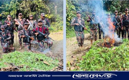 থানচিতে আরো তিনটি পপি খেত ধ্বংস করলো ৫৭ বিজিবি