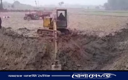 নওগাঁর বিভিন্ন উপজেলায় অবৈধ ভাটায় পুড়ছে কাঠ,বিপন্ন হচ্ছে পরিবেশ খাদ্য ঘাটতির আশঙ্কা