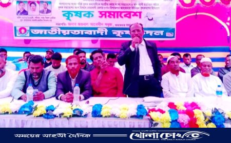 সুবর্ণচরের জাহাজমারা ইউনিয়নে কৃষক সমাবেশ অনুষ্ঠিত