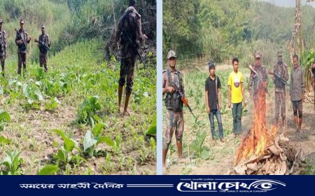 আলীকদমে ৫৭ বিজিবি কর্তৃক পপি ক্ষেত ধ্বংস