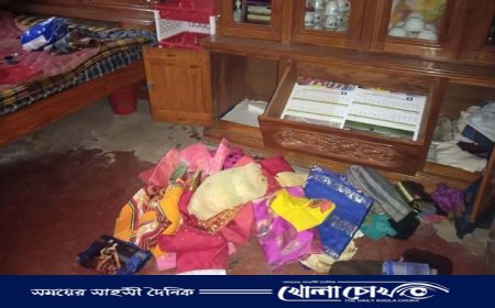 সালথায় গলায় অস্ত্র ধরে সাংবাদিকের বাসায় চুরি