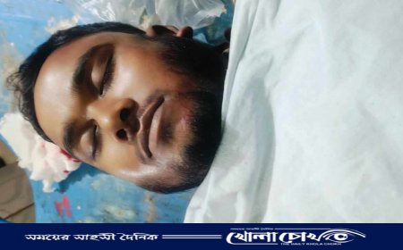 সদরপুরে দুর্ঘটনায় নছিমন চালক নিহত 