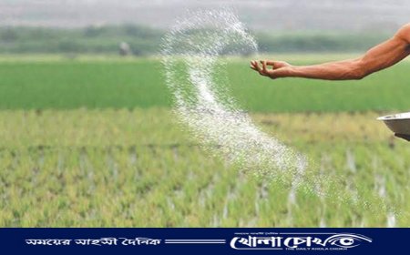 নওগাঁয় বিভিন্ন অজুহাতে বেশি দামে বিক্রি হচ্ছে সার