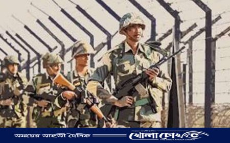 নওগাঁর সাপাহার সীমান্ত থেকে এক যুবককে ধরে নিয়ে গেছে বিএসএফ