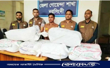 শিবপুর লটকন বাগান থেকে ৯৬ কেজি গাঁজা উদ্ধার 