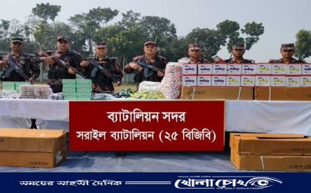 বিজয়নগরে কোটি টাকার ভারতীয় চোরাচালানী মালামাল আটক