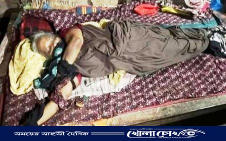 নাজিরপুরে আইনজীবীর মাকে হাত-পা বেঁধে হত্যার অভিযোগ 