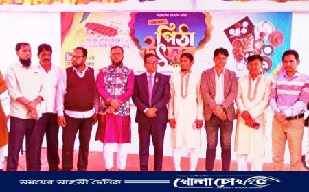 বিজয়নগরে পিঠা উৎসব, ৩০ টাকায় হৃদয় হরণ