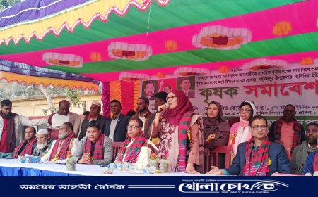 মহম্মদপুরে বালিদিয়া ইউনিয়ন কৃষকদলের সমাবেশ অনুষ্ঠিত  