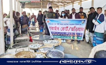 সদরপুরে ২ মণ জাটকা ইলিশ জব্দঃ মাছ ব্যবসায়ীকে জরিমানা 