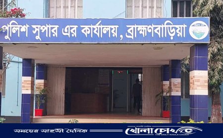 ব্রাহ্মণবাড়িয়ায় ডিবির দুই কনস্টেবল গ্রেপ্তার