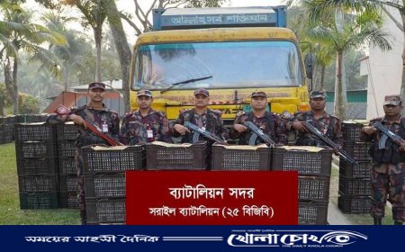 বিজয়নগরে কোটি টাকার ভারতীয় কমলা জব্দ 