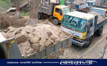 সদরপুরে ২ দিনের অভিযানে ৬ ট্রাকসহ ৮ জন আটক, ৫০ হাজার টাকা জরিমানা