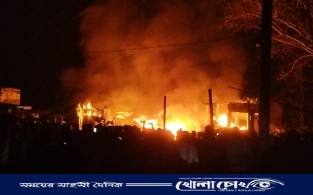 বালিয়াকান্দিতে ঐতিহ্যবাহী বহরপুর বাজারে ভয়াবহ অগ্নিকাণ্ড