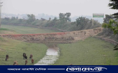 ব্রাহ্মণবাড়িয়ার লইসস্কার বিলে খাল ভরাট করে রাস্তা নির্মাণ,পরিবেশের মারাত্মক হুমকি