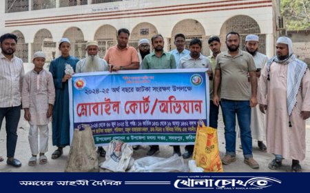 সদরপুরে বিভিন্ন হাট-বাজারে ইলিশ সংরক্ষণে অভিযান 