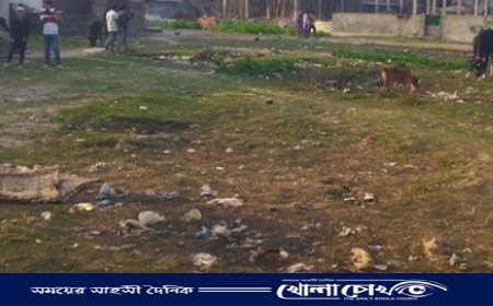 এনবিআর নিষেধ থাকা সত্ত্বেও পালিয়ে থেকে নীলাচলের জমি বিক্রির চেষ্টা