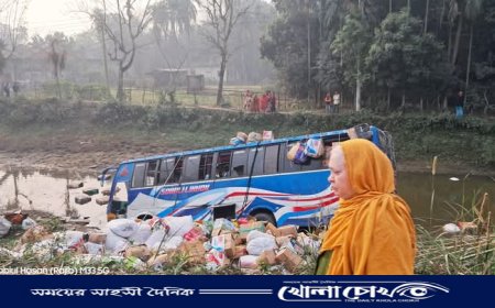 ফরিদপুরে ফুলবাহি বাস খাদে  তিনজন আহত