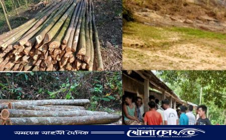 লামার ফেয়ারি এগ্রো'র বাগান এখন মরুর ধূসরতায় রুপ নিয়েছে