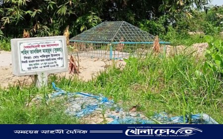 নবীনগরে আন্দোলনে শহীদ সুজয়ের লাশ উত্তোলনে পরিবারের বাধা