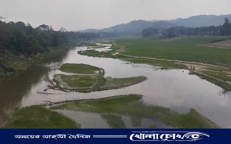 সরই লেমুপালংপাড়ার কৃষকরা সরকারি বরাদ্দের সার পাচ্ছে না