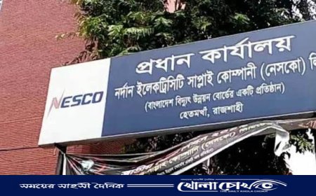 বিদ্যুৎ ব্যবহারের চেয়েও বিল বেশী কেন?