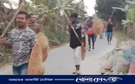 সালথায় দলীয় কোন্দলের জেরে বিএনপি সমর্থকদের উপর হামলা, আহত - ৩