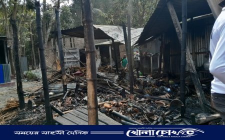 ফরিদপুরে অগ্নিকাণ্ডে বসত বাড়ি পুড়ে ছাই