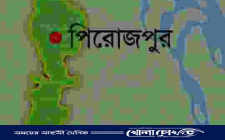 পিরোজপুরে নতুন একটি উপজেলা গঠনের জন্য  সম্ভাব্যতা যাচাই ও জনমত সংগ্রহে কমিটি গঠন