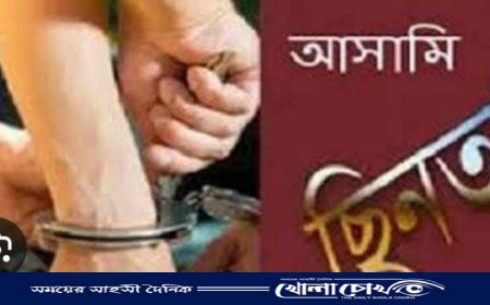 জিয়ানগরে পুলিশের হাত থেকে আসামি ছিনতাই, গ্রেপ্তার-২
