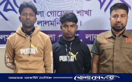 ডিবির অভিযানে ১০ কেজি গাঁজা কার্ভাড ভ্যানসহ গ্রেফতার২