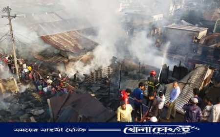 নেছারাবাদে ভয়াবহ অগ্নিকাণ্ড, ৪০টি দোকান ভস্মীভূত