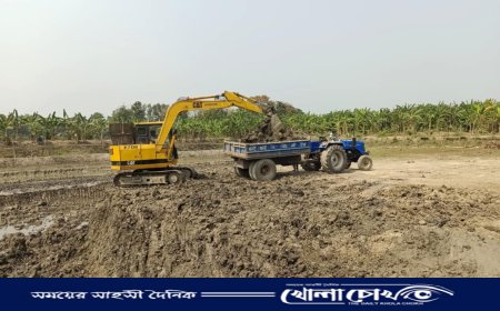 নগরকান্দায় থামছেই না মাটি ব্যবসায়ীদের দৌরাত্ম, ফসলী জমির মাটি যাচ্ছে ইটভাটায়