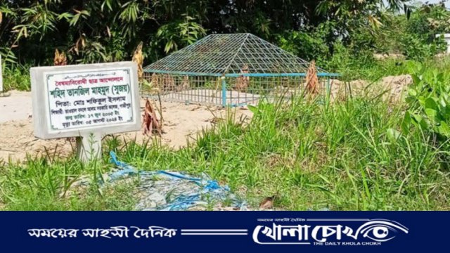 নবীনগরে আন্দোলনে শহীদ সুজয়ের লাশ উত্তোলনে পরিবারের বাধা