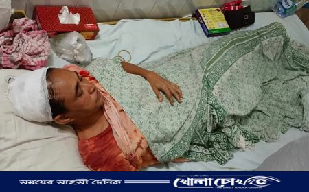 জমি দখলের জেরে পরিবারের ওপর হামলা, আহতরা হাসপাতালে
