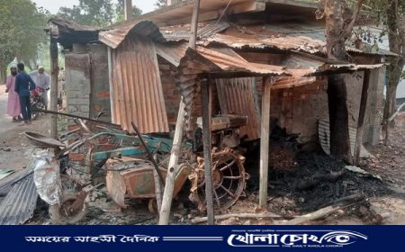 রাণীনগরে কৃষকের খড়ের পালা ও গোয়াল ঘরে আগুন, চার গরু দগ্ধ