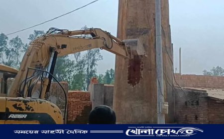 অবৈধ ইটভাটা উচ্ছেদে অভিযান, জরিমানা ও ধ্বংস