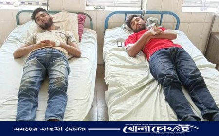 সদরপুর সরকারি কলেজ ছাত্রদল কমিটি নিয়ে সংঘর্ষ, আহত ২