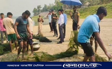 নওগাঁর মান্দায় অভয়াশ্রমে মাছ লুট, প্রশাসনের অভিযান