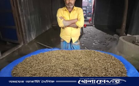 পীরগাছায় সেনাবাহিনীর অভিযানে ১০ কেজি ৫০০ গ্রাম গাঁজা উদ্ধার