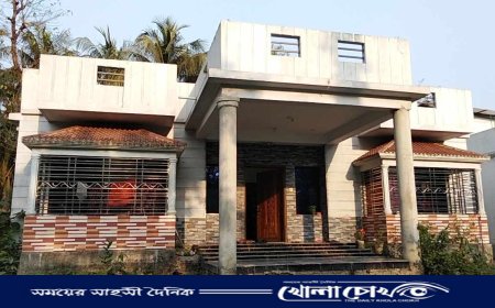 সৌদি প্রবাসীর বাড়িতে দুর্ধর্ষ ডাকাতি, গৃহবধূসহ তিনজন আহত