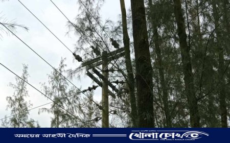 ৮ বছর ধরে বিদ্যুৎহীন সুবর্ণচরের তিন গ্রাম, দাঁড়িয়ে আছে শুধু খুঁটি