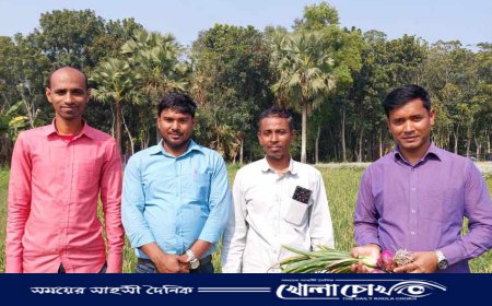 ভাঙ্গায় গ্রীষ্মকালীন পেঁয়াজ চাষে সাফল্যের নতুন দিগন্ত