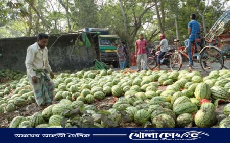 ফরিদপুরে ট্রাক-মোটরসাইকেল-অটোরিকশার সংঘর্ষে প্রাণ গেল ২ জনের