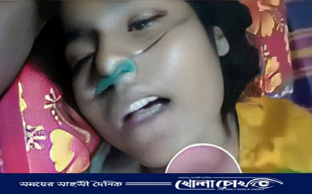 বিজয়নগরে যৌতুকের দাবিতে গৃহবধূকে নির্যাতনের অভিযোগ