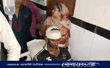 বরিশালের আগৈলঝাড়ায় ছাত্রদল নেতার ওপর হামলা, আহত ১০
